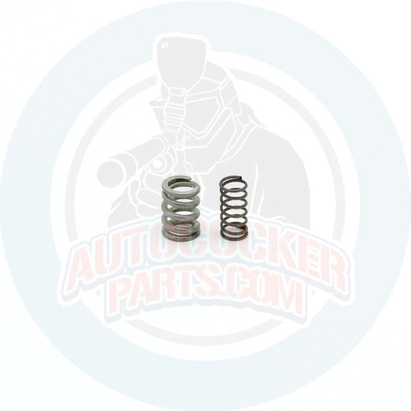 WGP Autococker adjustable LPR Spring kit